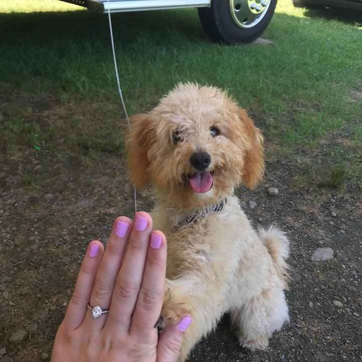 Our pup is excited too!