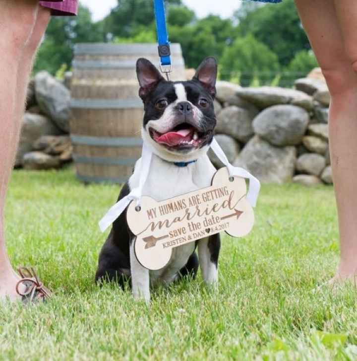 Engagement photos... with the pooch!