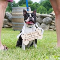 Engagement photos... with the pooch!
