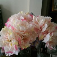 Real vs Fake Flowers The Ultimate Struggle