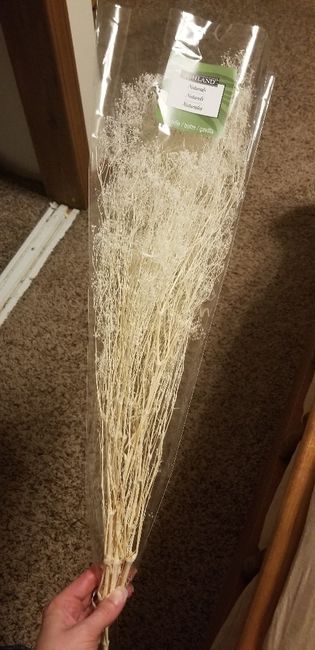 Sola diy Progress... - 1
