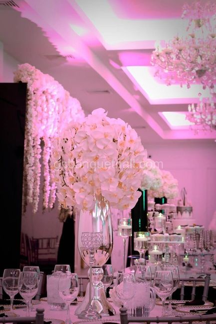 Real vs. Fake Flowers 5