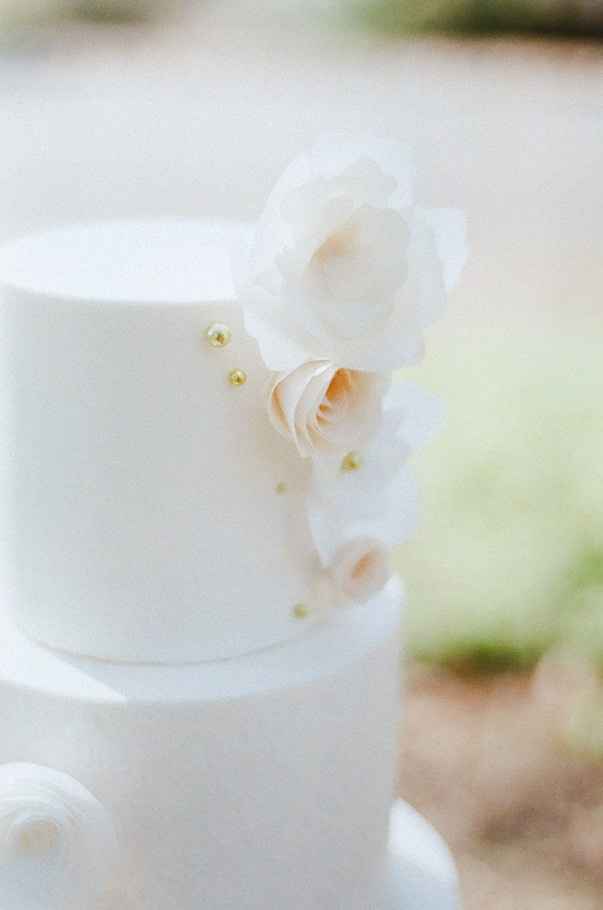 Just Married! A wedding under $5k! (update p4)