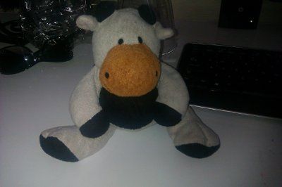 Totally NWR- My 8 y/o's heart just broke and I need help finding a new MOO COW!!!