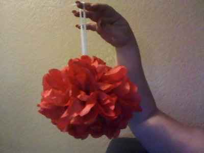Seriously at my wits end! Help please!  (poms)