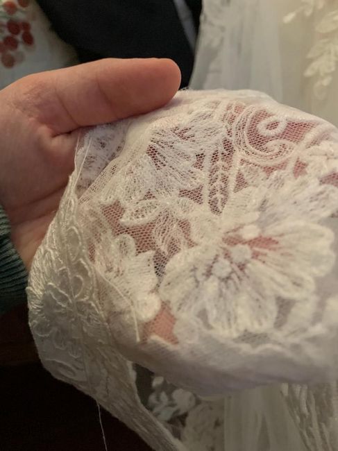 Anomalie Fabric Samples 2