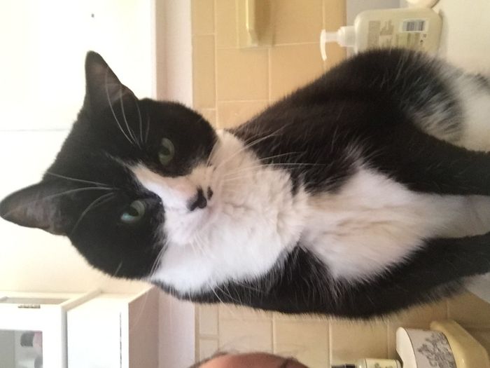 Let me see those fur babies!