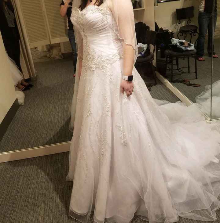 Dress & Veil Opinions - 1