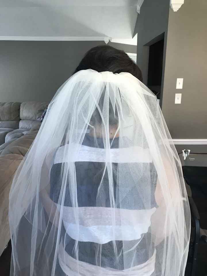 Veils - 1