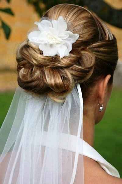 Headpiece with Veil
