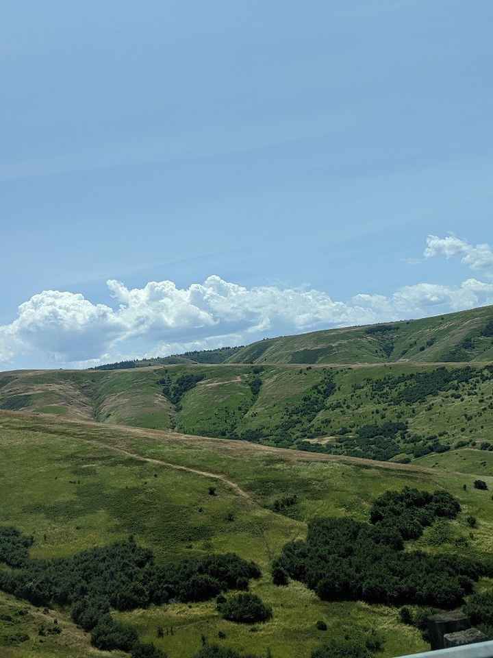 Honeymoon pictures - 4