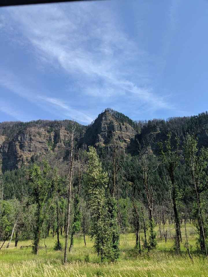 Honeymoon pictures - 5