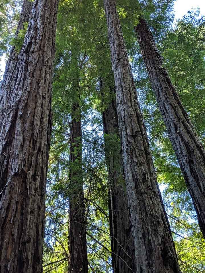 Honeymoon pictures - 7