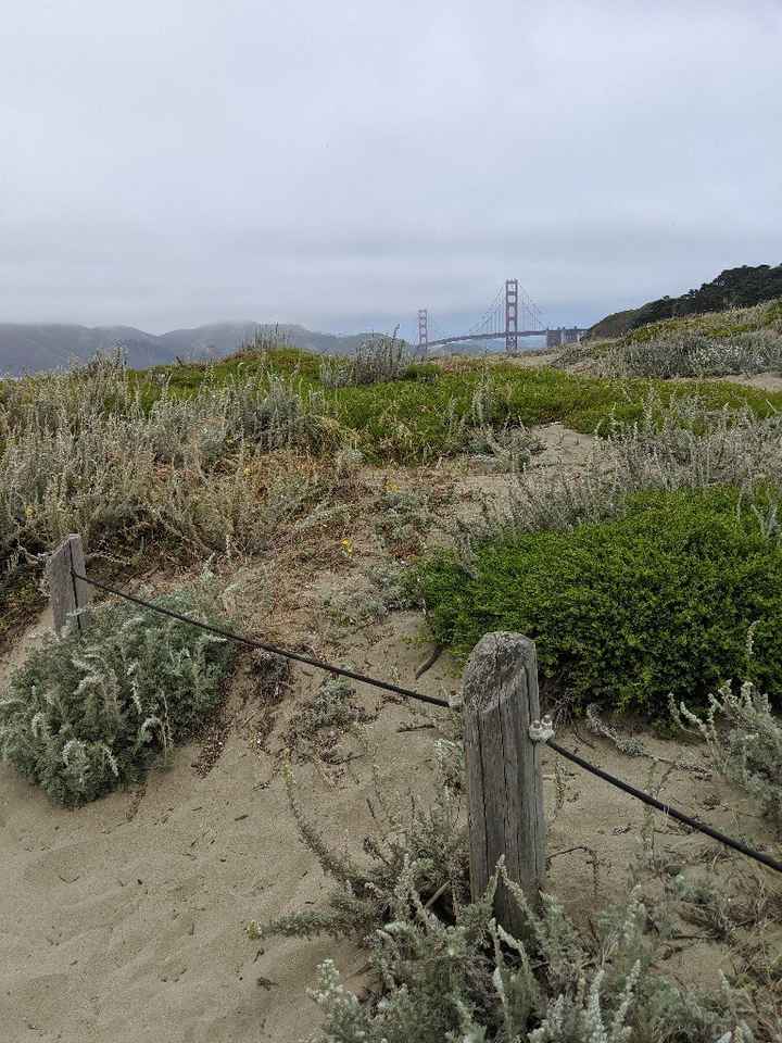 Honeymoon pictures - 8