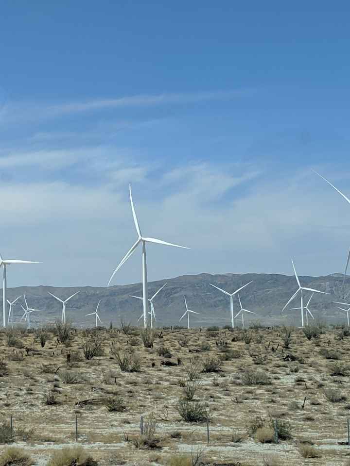 Honeymoon pictures - 10