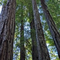 Honeymoon pictures - 7