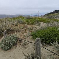 Honeymoon pictures - 8