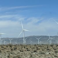 Honeymoon pictures - 10