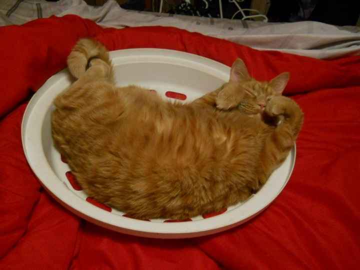 We've seen your rings, your dresses, your jewels.... show me your