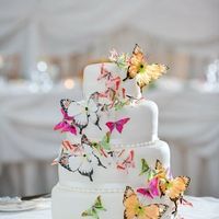Butterfly Wedding Cake Woes