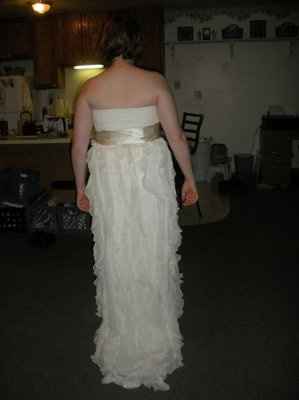 The Dress Has Arrived!!!