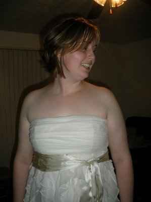 The Dress Has Arrived!!!