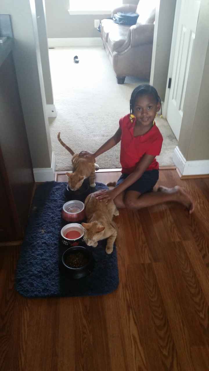 NWR: Bored? Show off your pets!