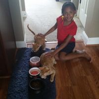 NWR: Bored? Show off your pets!