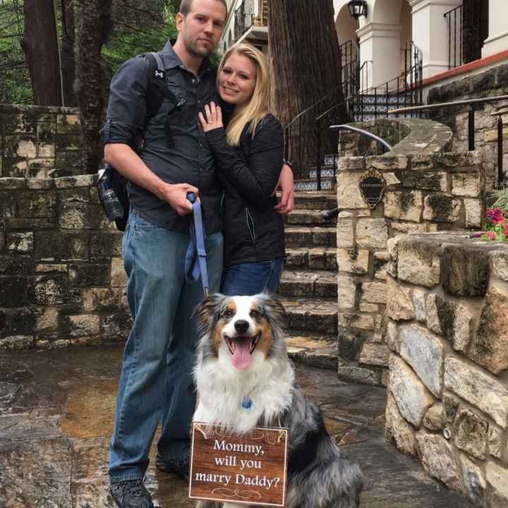 NWR: My pup thinks she's people. She's right. Show me your "people pups!"