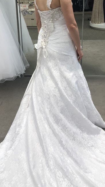 Wedding Dress Mpls - 3