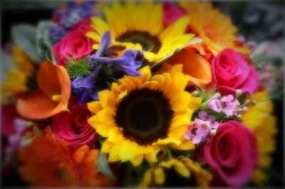 Need ideas for multi colored wedding