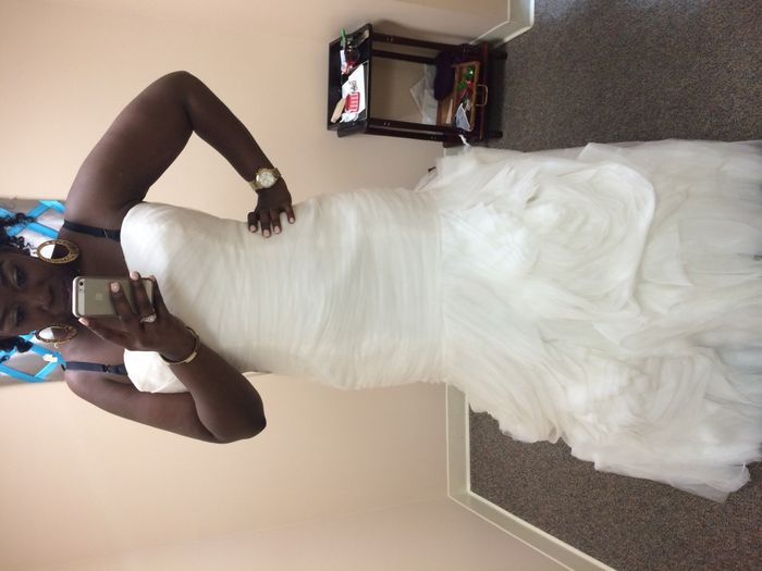 Birdcage or Tradional veil (Pics included)