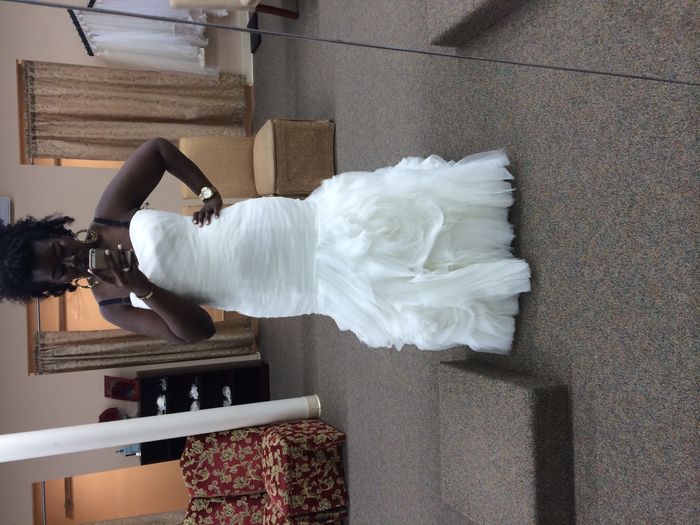 Birdcage or Tradional veil (Pics included)