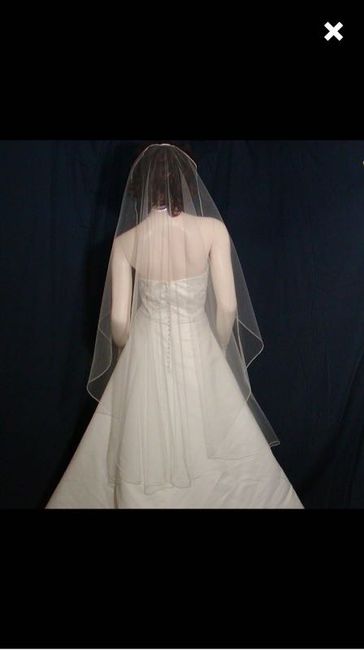 Veil Options