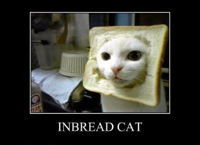 stressed and need a laugh, SHARE THOSE FUNNY PICTURES!!!