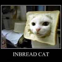 stressed and need a laugh, SHARE THOSE FUNNY PICTURES!!!