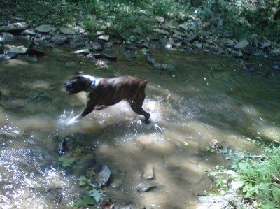 NWR - Furbabies :)