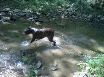 NWR - Furbabies :)