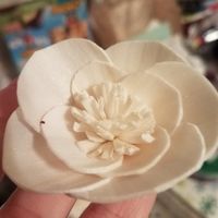 Dying Sola Wood Flowers diy ? - 3