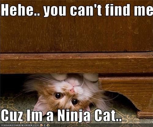 Where is Nay????