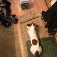 NWR:  Thursday Fursday