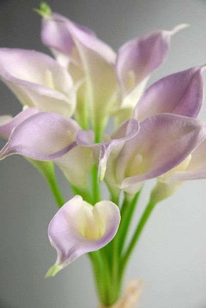 Silk/Artificial Orchids or Other Pinkish-Purple Flower Recommendations