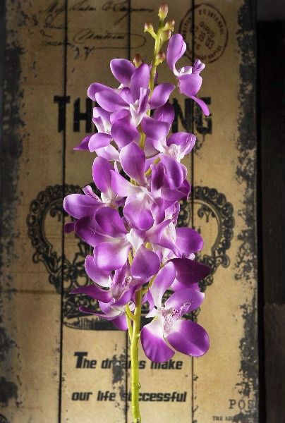Silk/Artificial Orchids or Other Pinkish-Purple Flower Recommendations