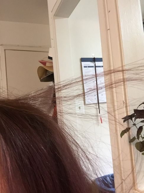 Fine Hair Help