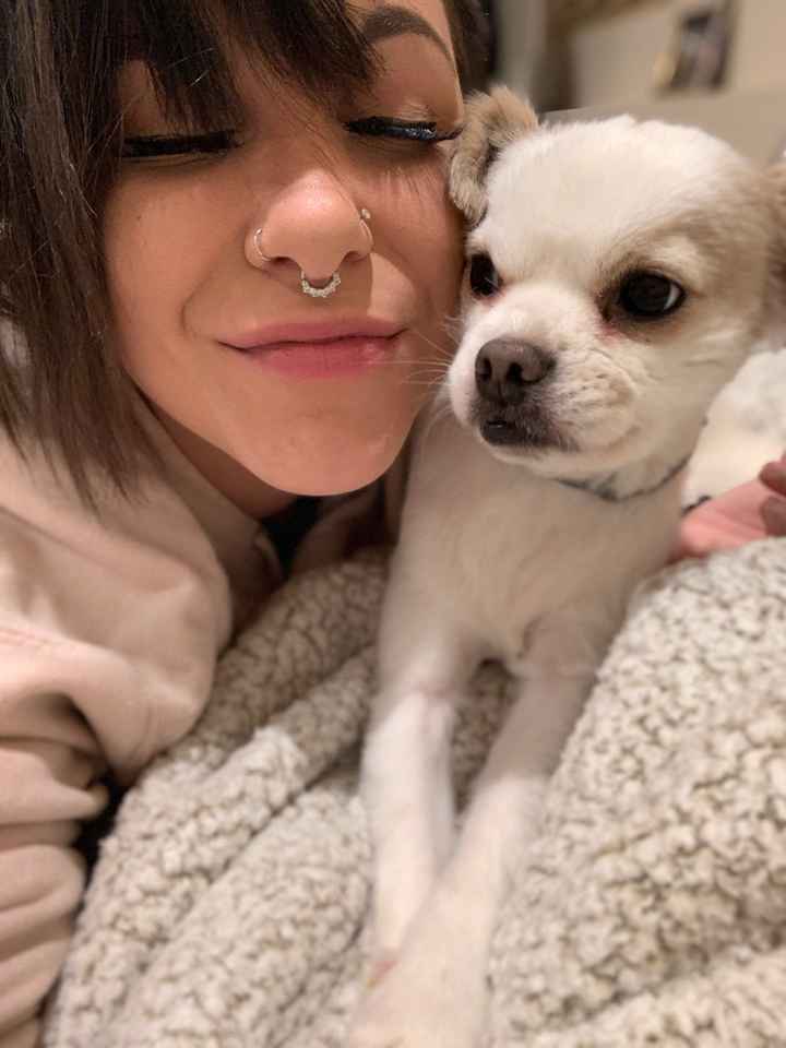 Show me your pet! - 2