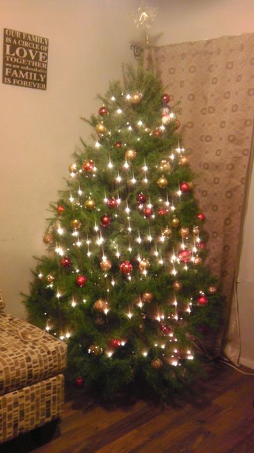 NWR Show me your tree!