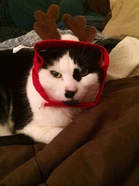 NWR- Furbaby Appreciation Post