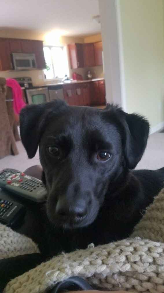 Show me your fur babies!