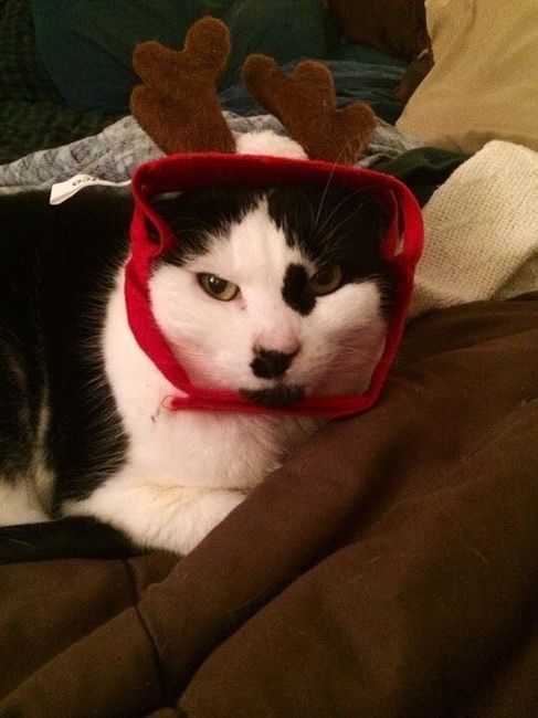 NWR- Furbaby Appreciation Post