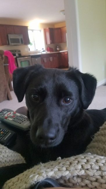 Show me your fur babies!